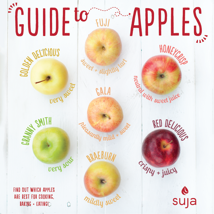 http://www.sujaorganic.com/cdn/shop/articles/Guide-to-Apples.png?v=1694160661