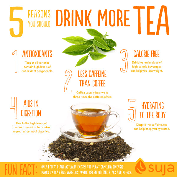 Benefits of Drinking Tea | 5 Reasons to Start Sipping Now | Suja Juice ...