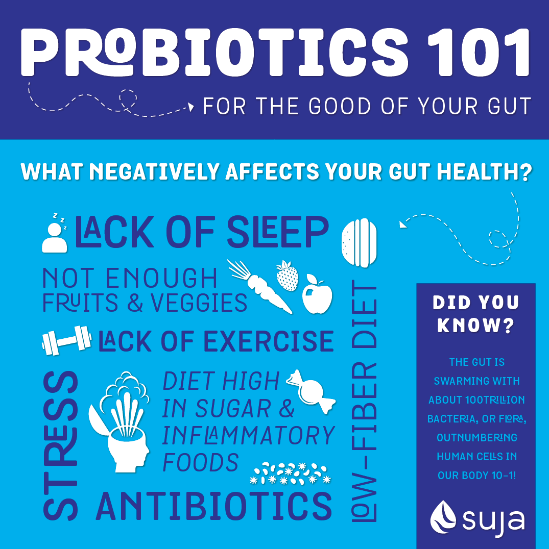 Probiotics 101: Everything you need to know!