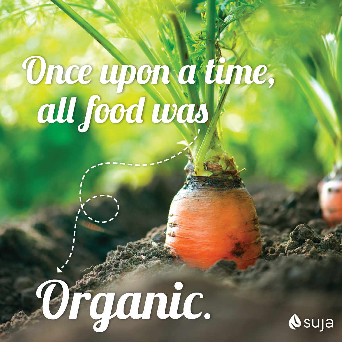 Why Choose Organic?