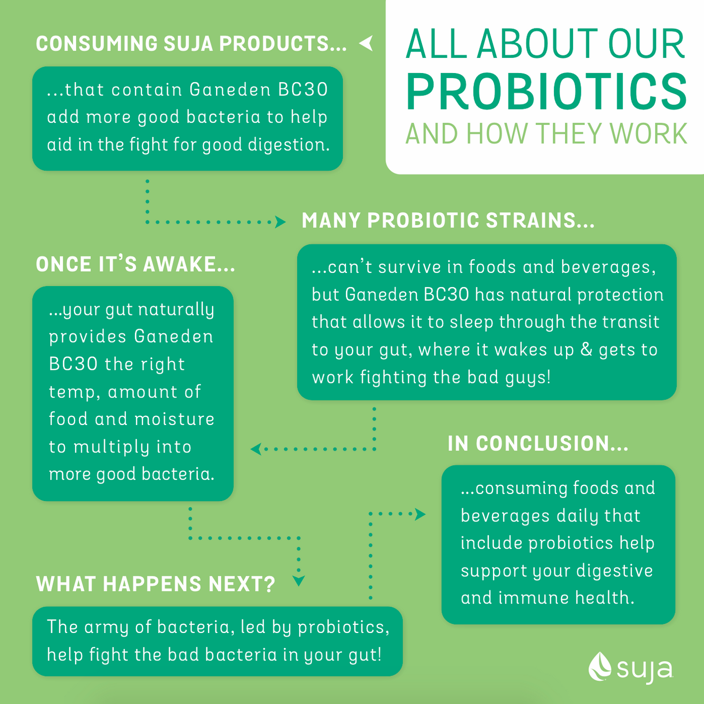 Probiotics for Your Digestive System: We Love Your Guts and You Should Too!