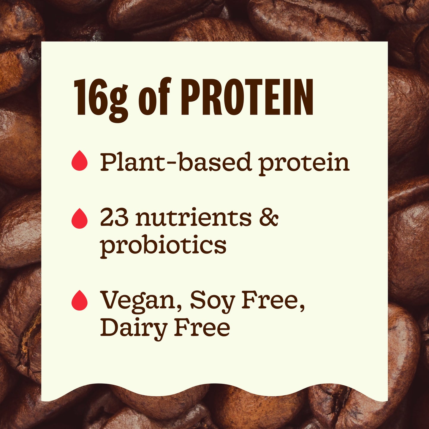 Protein Coffee Bean