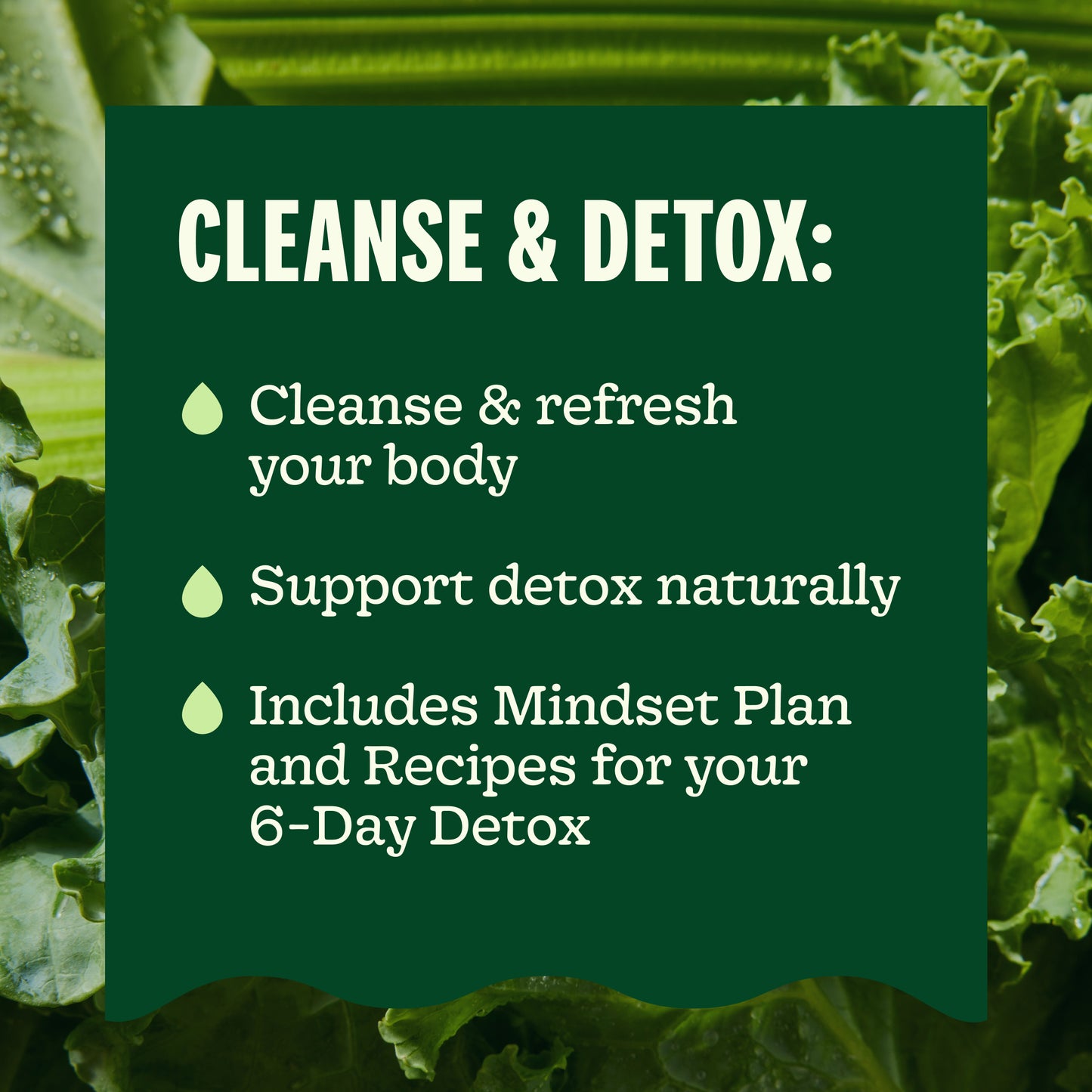 Detox Juice Cleanse Program