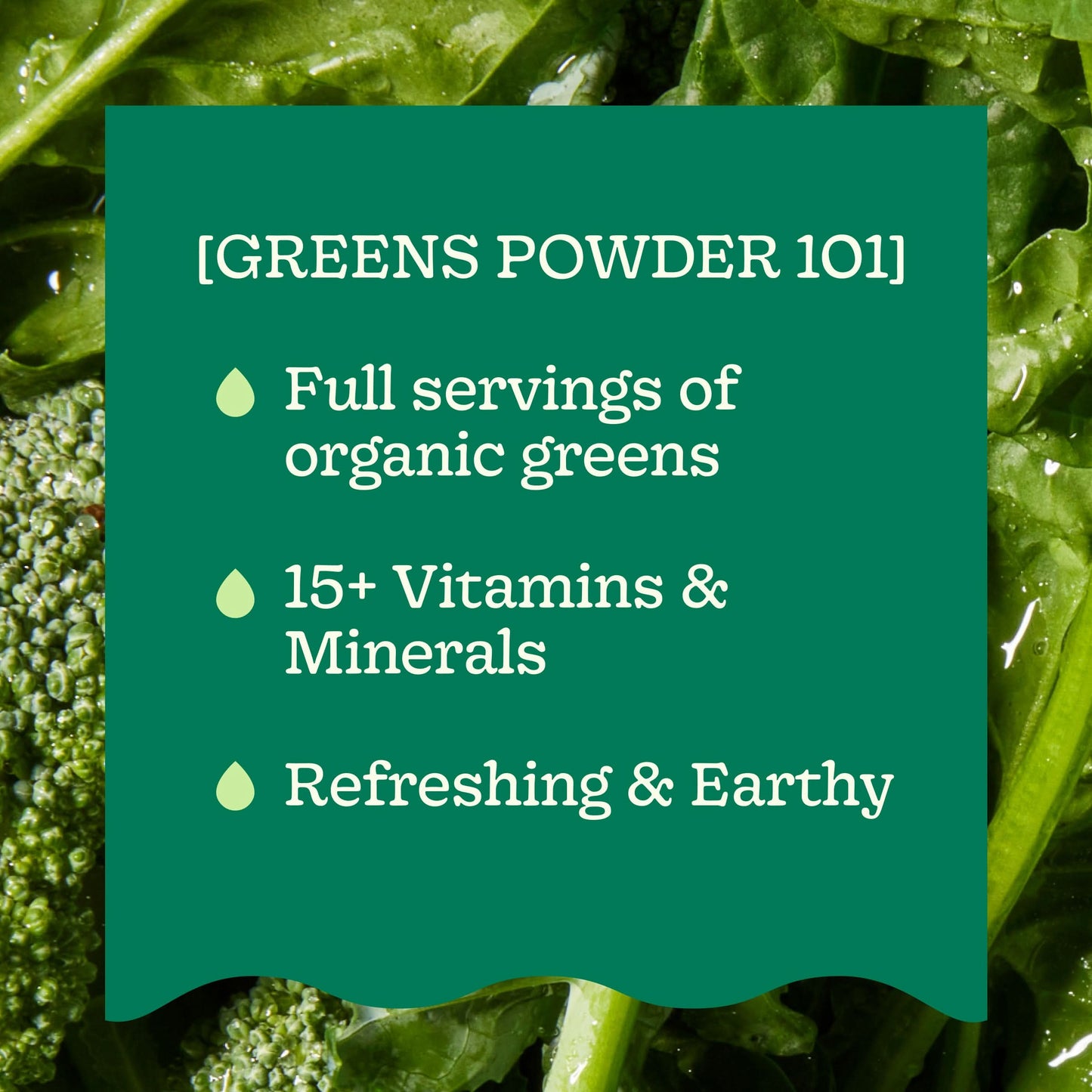 Organic Greens Powder Subscription Kit