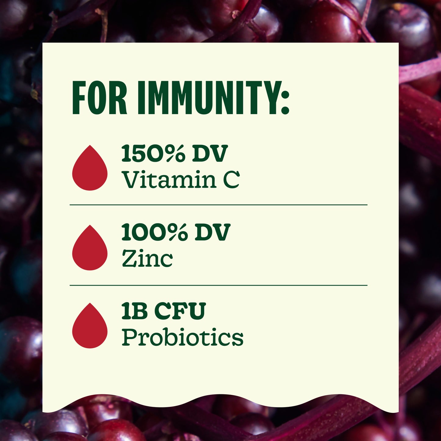 Immunity Elderberry Apple Shot