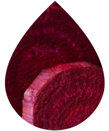 Earthy Beet