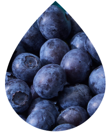 Juicy Blueberry