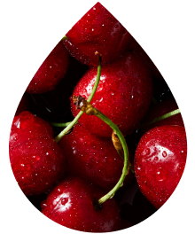 Acerola Cherry