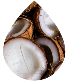 Coconut Water