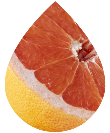 Tart Grapefruit