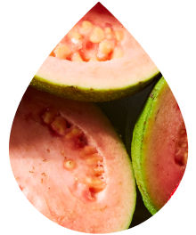 Tangy Guava