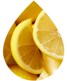 Lemon for Zing